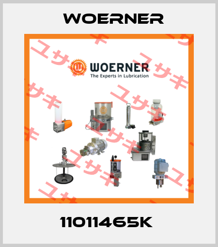 11011465K  Woerner