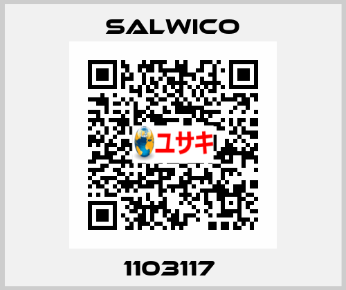 1103117  Salwico