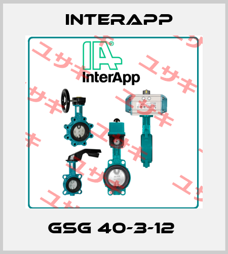 GSG 40-3-12  InterApp