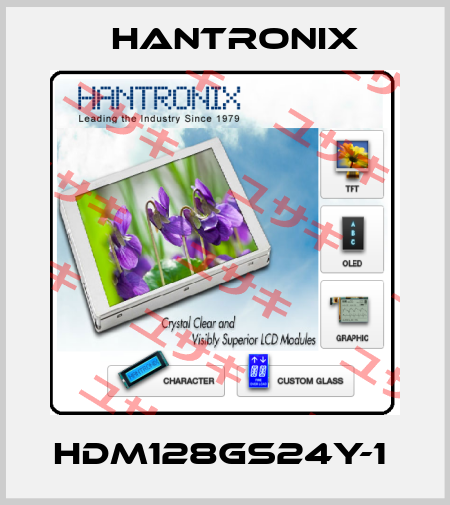 HDM128GS24Y-1  Hantronix