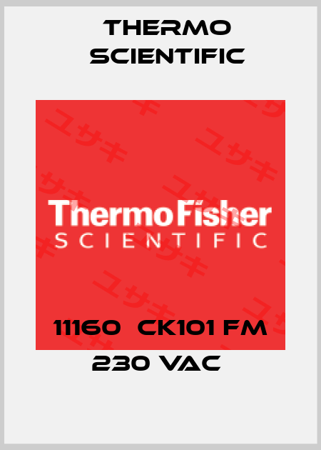 11160  CK101 FM 230 VAC  Thermo Scientific