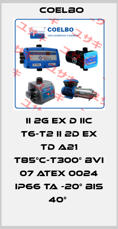 II 2G EX D IIC T6-T2 II 2D EX TD A21 T85°C-T300° BVI 07 ATEX 0024 IP66 TA -20° BIS 40°  COELBO