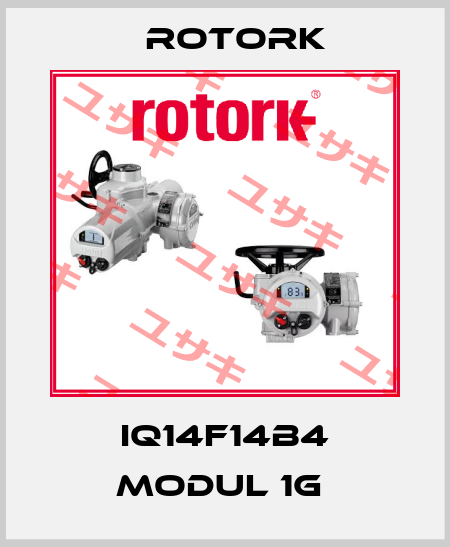 IQ14F14B4 MODUL 1G  Rotork