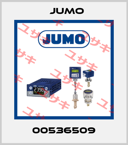 00536509 Jumo