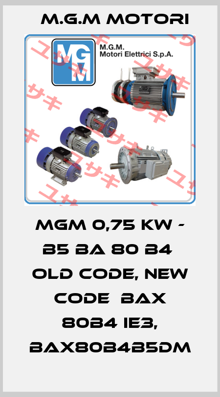 MGM 0,75 kW - B5 BA 80 B4  old code, new code  BAX 80B4 IE3, BAX80B4B5DM M.G.M MOTORI