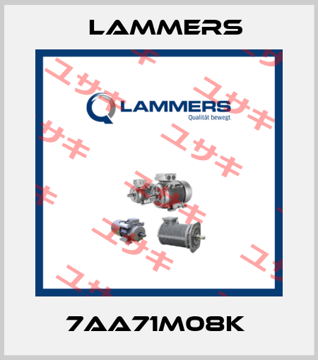7AA71M08k  Lammers