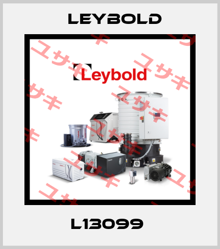 L13099  Leybold