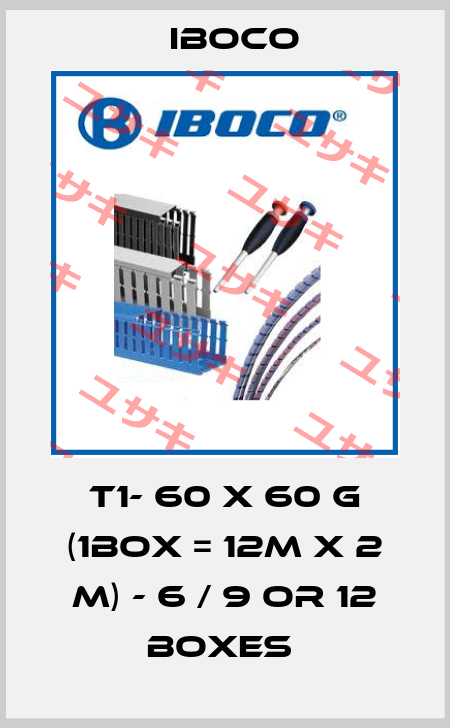 T1- 60 x 60 G (1box = 12m x 2 m) - 6 / 9 or 12 boxes  Iboco