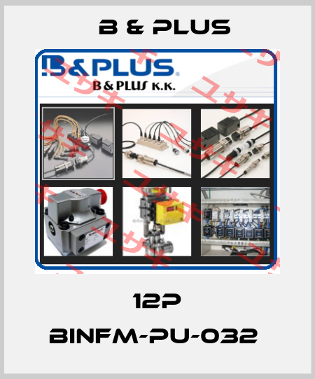 12P BINFM-PU-032  B & PLUS