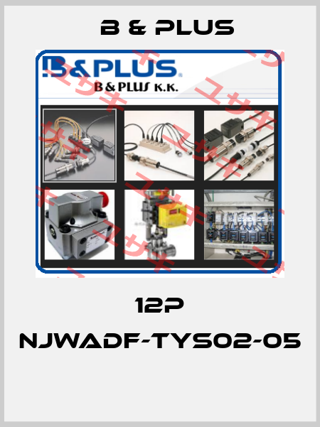 12P NJWADF-TYS02-05  B & PLUS