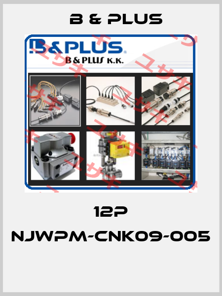 12P NJWPM-CNK09-005  B & PLUS