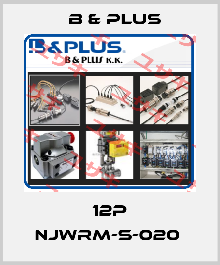 12P NJWRM-S-020  B & PLUS