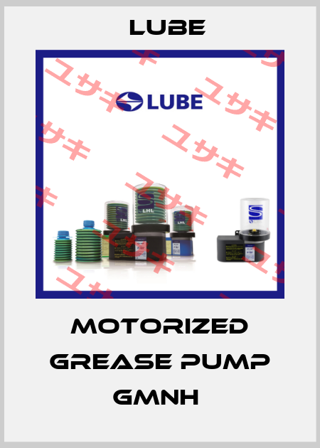 Motorized grease pump GMNH  Lube