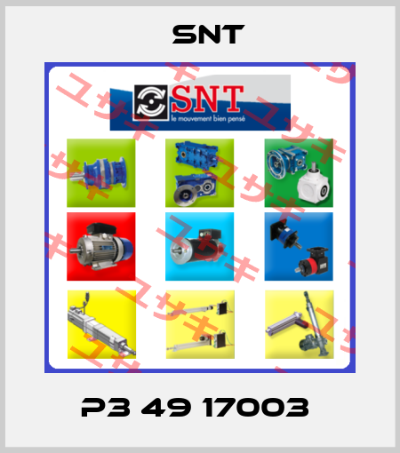 P3 49 17003  SNT