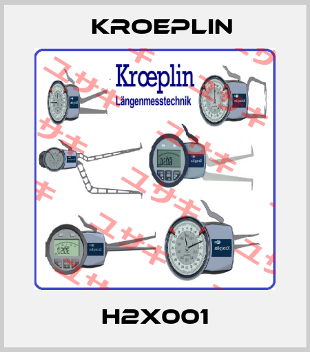 H2X001 Kroeplin