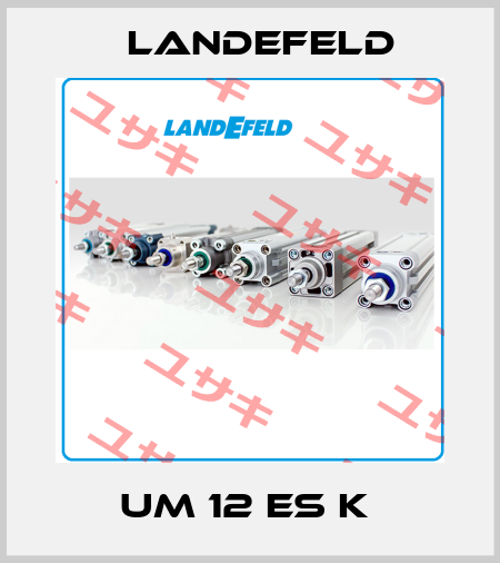 UM 12 ES K  Landefeld