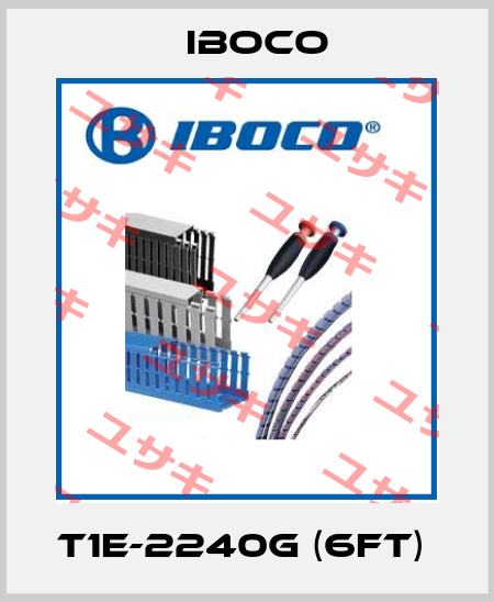 T1E-2240G (6ft)  Iboco