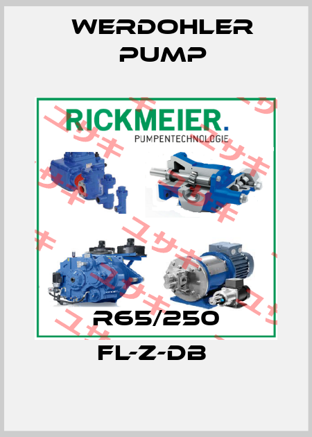 R65/250 FL-Z-DB  Werdohler Pump