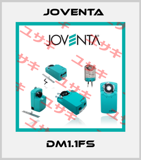 DM1.1FS Joventa