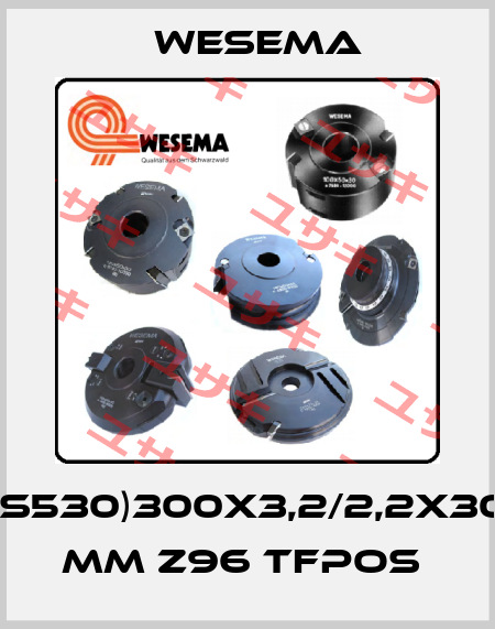 (S530)300x3,2/2,2x30 mm Z96 TFpos  WESEMA