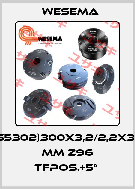 (S5302)300x3,2/2,2x30 mm Z96 TFpos.+5°  WESEMA