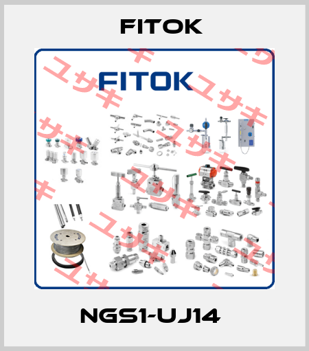 NGS1-UJ14  Fitok