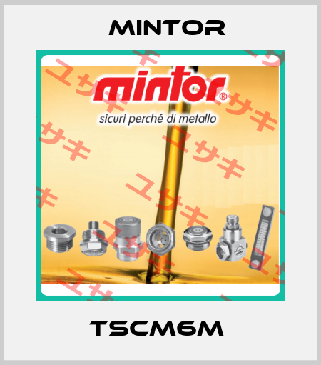 TSCM6M  Mintor