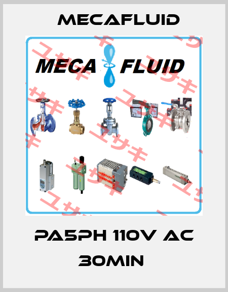 PA5PH 110V AC 30MIN  Mecafluid