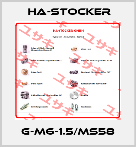 G-M6-1.5/MS58 HA-Stocker 