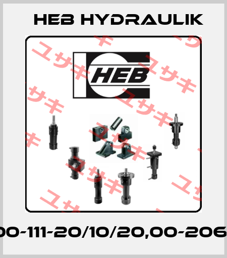 Z100-111-20/10/20,00-206/B1 HEB Hydraulik
