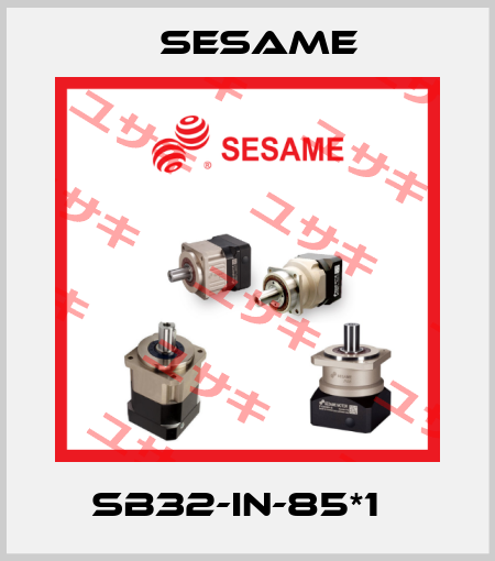 SB32-IN-85*1   Sesame