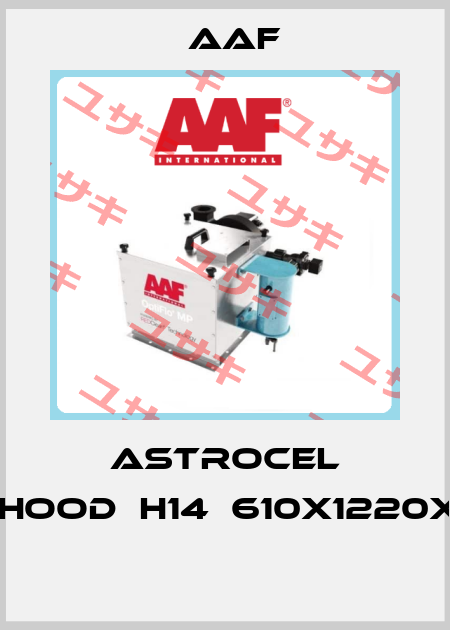 ASTROCEL TM-HOOD	H14	610X1220X125  AAF