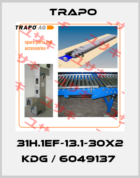 31H.1EF-13.1-30x2 KDG / 6049137  TRAPO