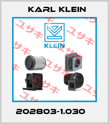 202803-1.030    Karl Klein