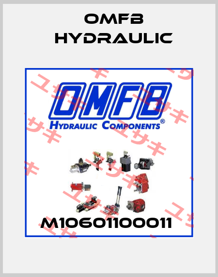 M10601100011  OMFB Hydraulic