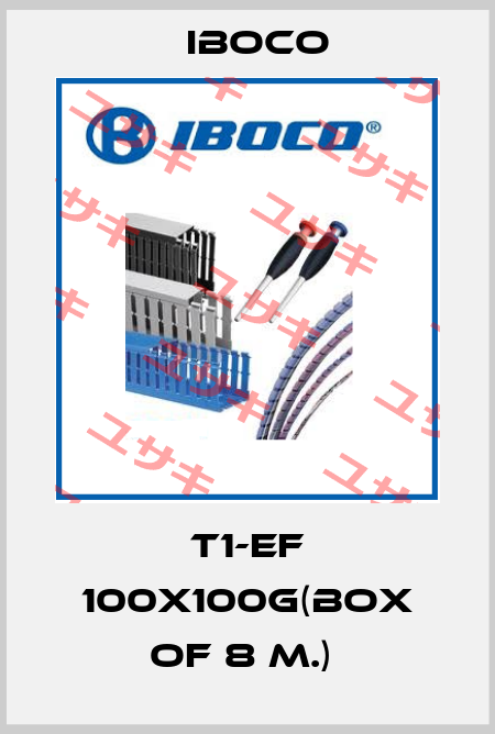 T1-EF 100X100G(Box of 8 m.)  Iboco