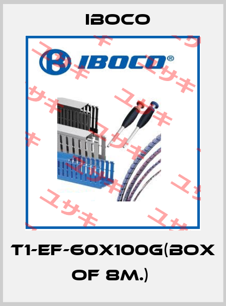 T1-EF-60X100G(Box of 8m.)  Iboco