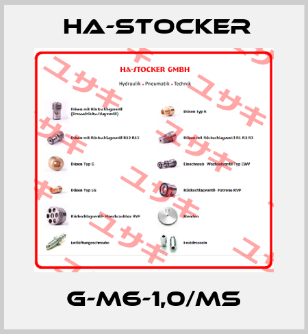 G-M6-1,0/MS HA-Stocker 