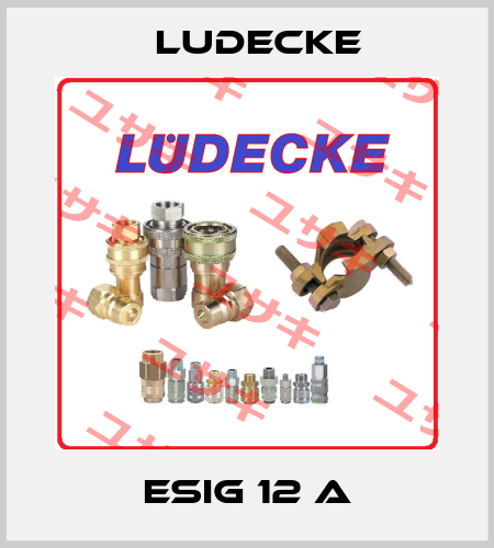 ESIG 12 A Ludecke