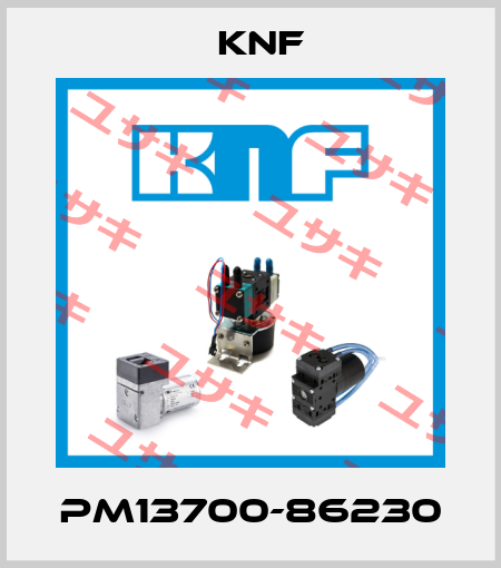 PM13700-86230 Knf Neuberger
