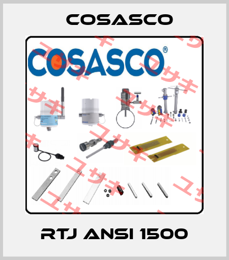 RTJ ANSI 1500 Cosasco