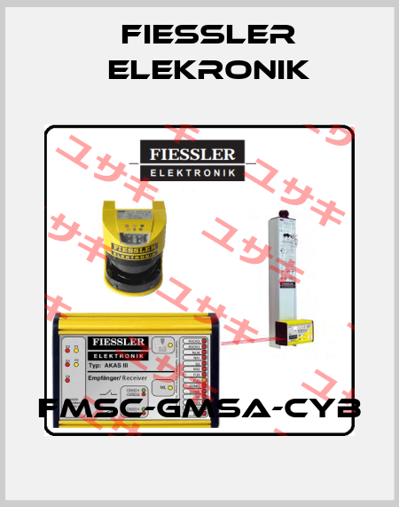 FMSC-GMSA-CYB Fiessler Elekronik