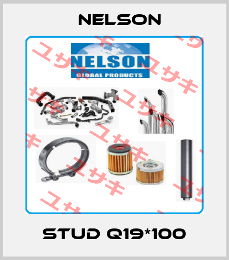 STUD Q19*100 Nelson