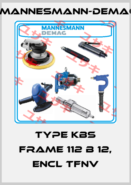 TYPE KBS FRAME 112 B 12, ENCL TFNV Mannesmann-Demag