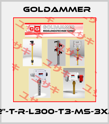 G1/2"-T-R-L300-T3-MS-3xM12 Goldammer