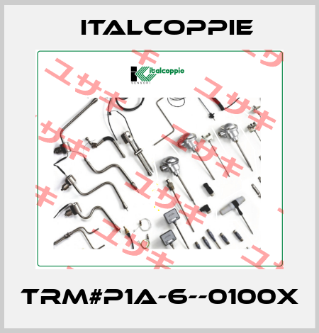 TRM#P1A-6--0100X italcoppie