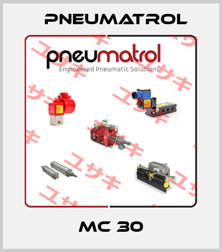 MC 30 Pneumatrol