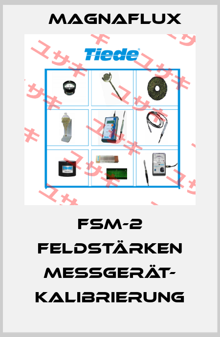 FSM-2 Feldstärken Messgerät- KALIBRIERUNG Magnaflux