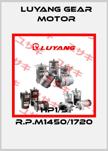 HP1/5 R.P.M1450/1720 Luyang Gear Motor
