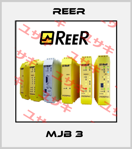 MJB 3  Reer